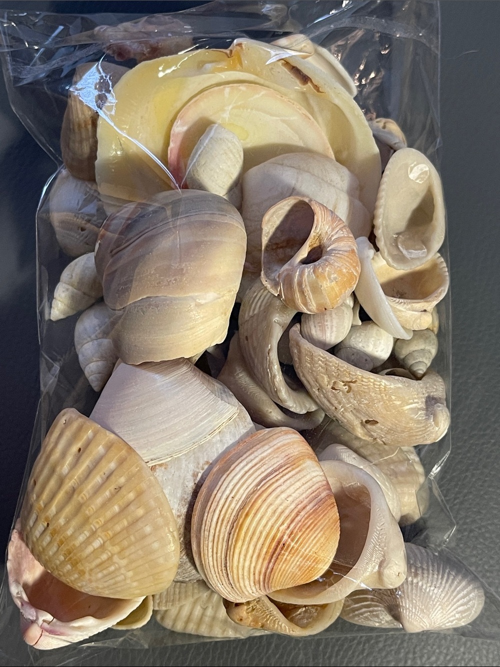 1 lb. bag of mixed seashells